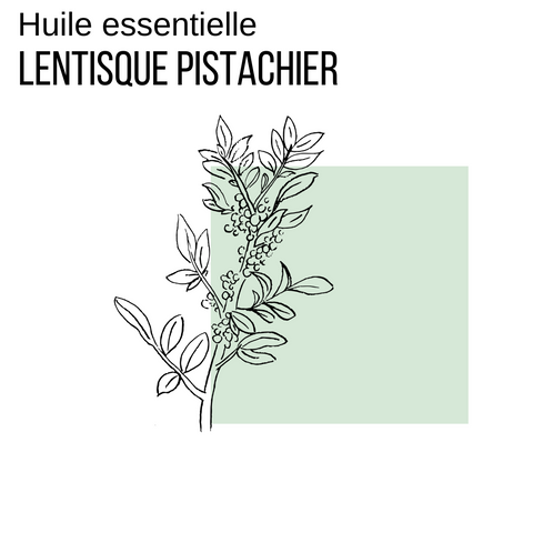 Huile essentielle de lentisque pistachier